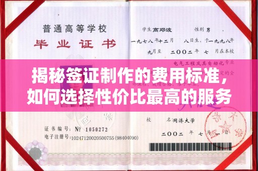 攀枝花揭秘签证制作的费用标准，如何选择性价比最高的服务？