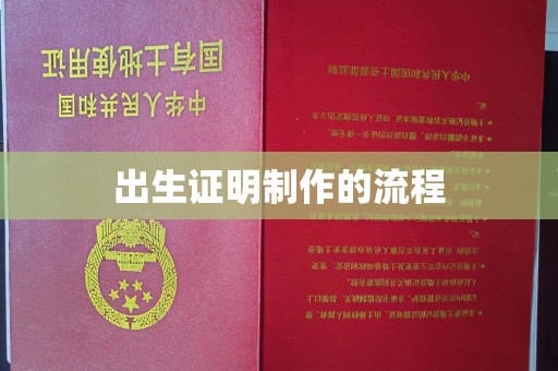 攀枝花出生证明制作的流程